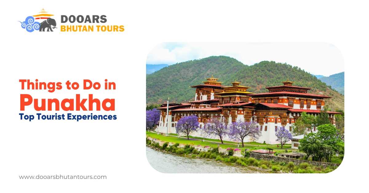 Things to Do in Punakha: Top Tourist Experiences