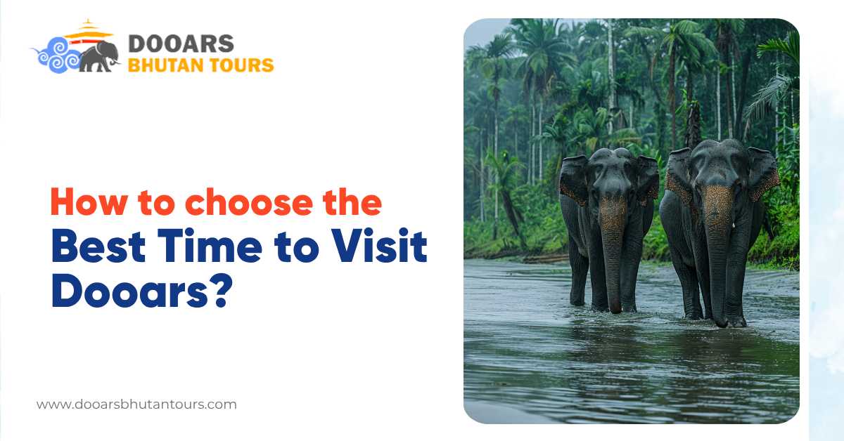 How to Choose the Best Time to Visit Dooars?