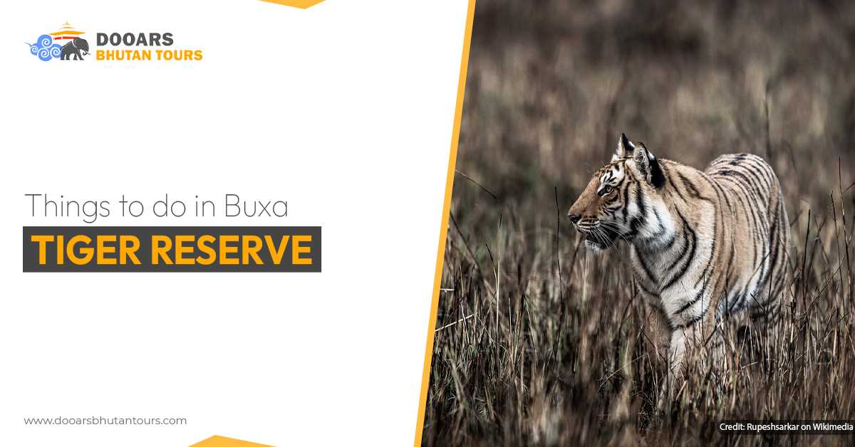 Things To Do In Buxa Tiger Reserve