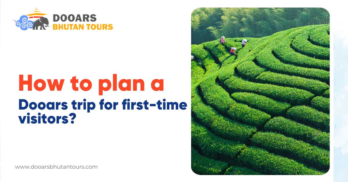 How to Plan a Dooars Trip for First-Time Visitors?