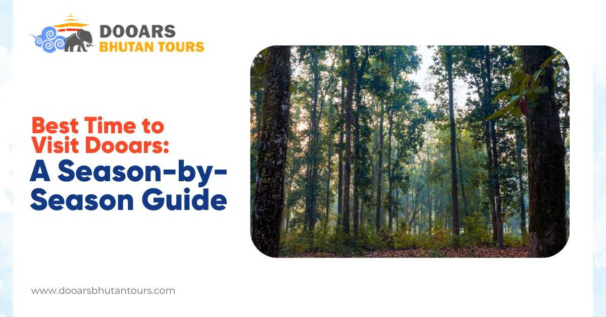 Best Time to Visit Dooars: A Season-by-Season Guide