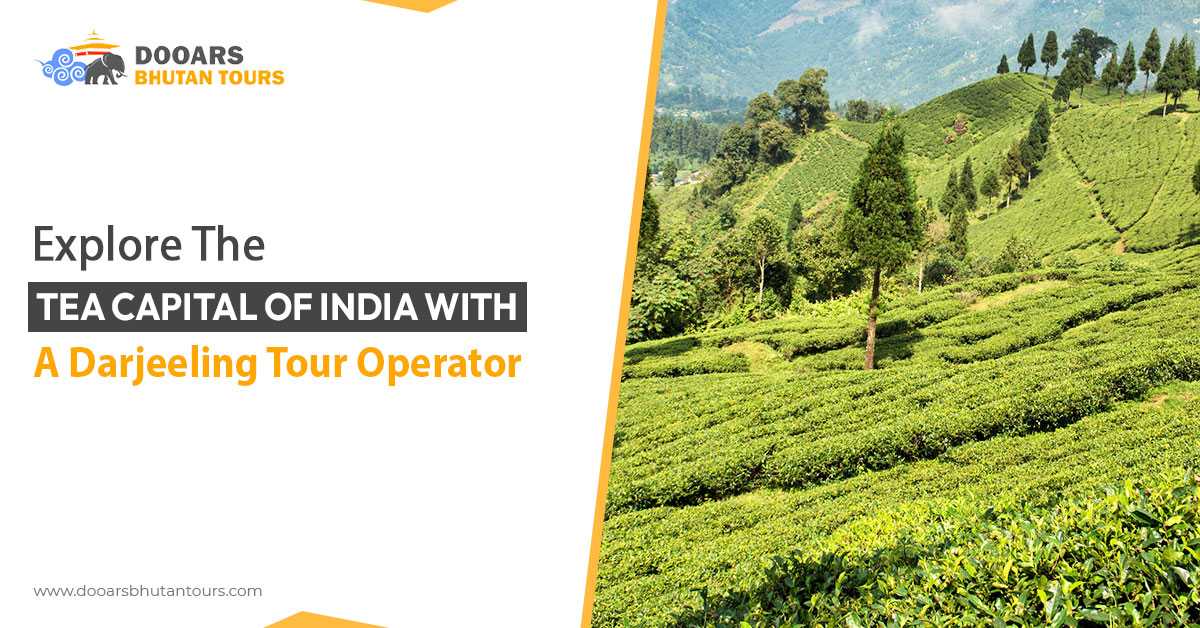 Explore the Tea Capital of India with a Darjeeling Tour Operator