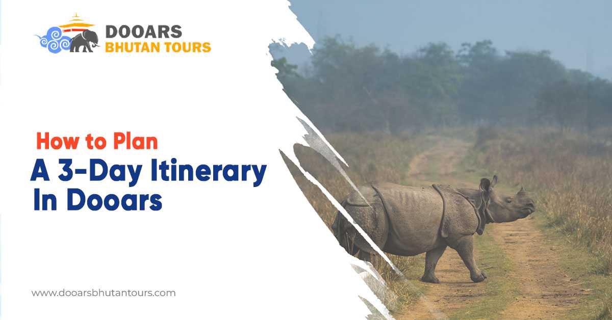How to Plan a 3-Day Itinerary in Dooars?