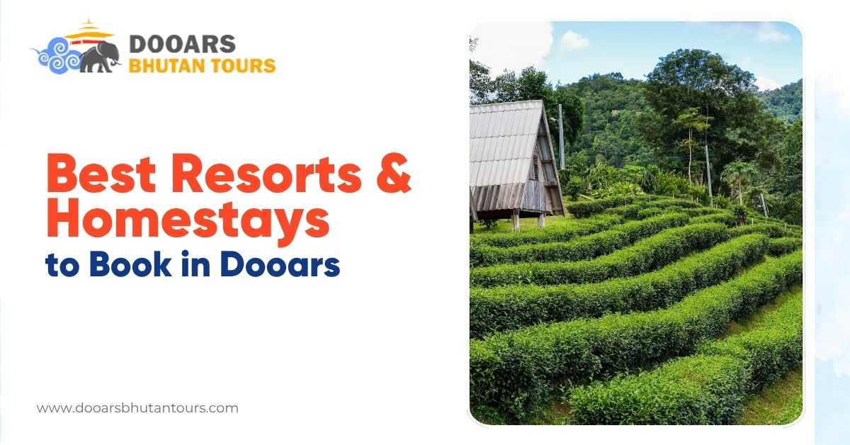 Best Resorts and Homestays to Book in Dooars