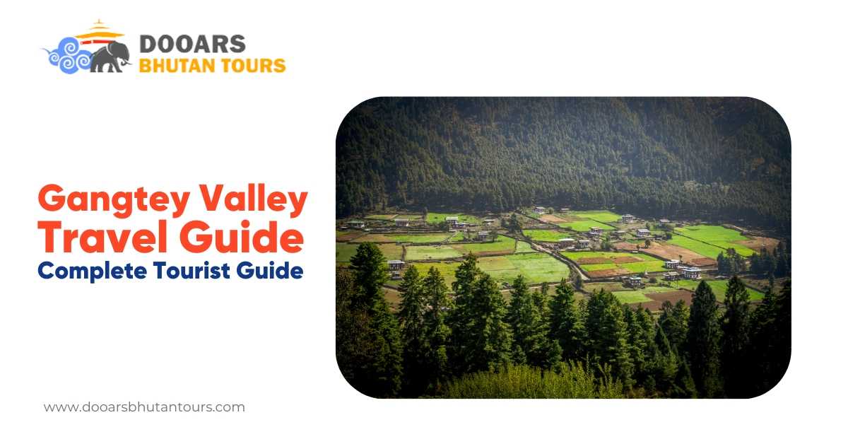 Gangtey Valley Travel Guide: Complete Tourist Guide