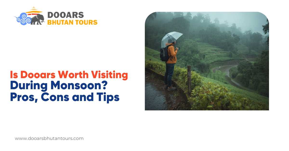 Is Dooars Worth Visiting During Monsoon? Pros, Cons and Tips