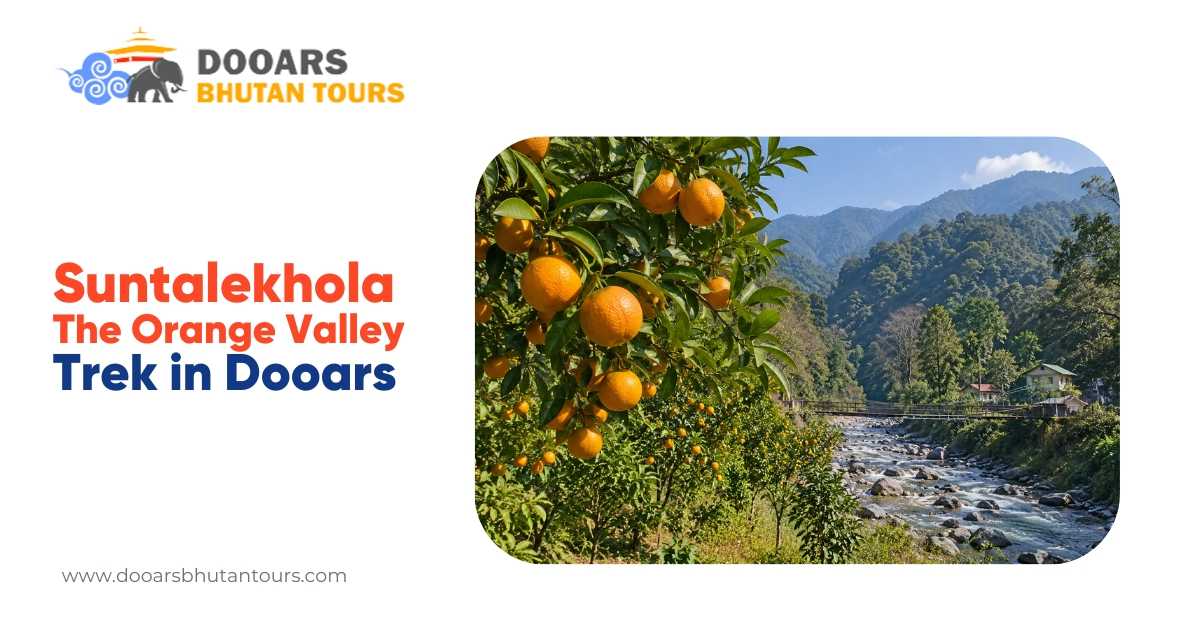 Suntalekhola: The Orange Valley Trek in Dooars