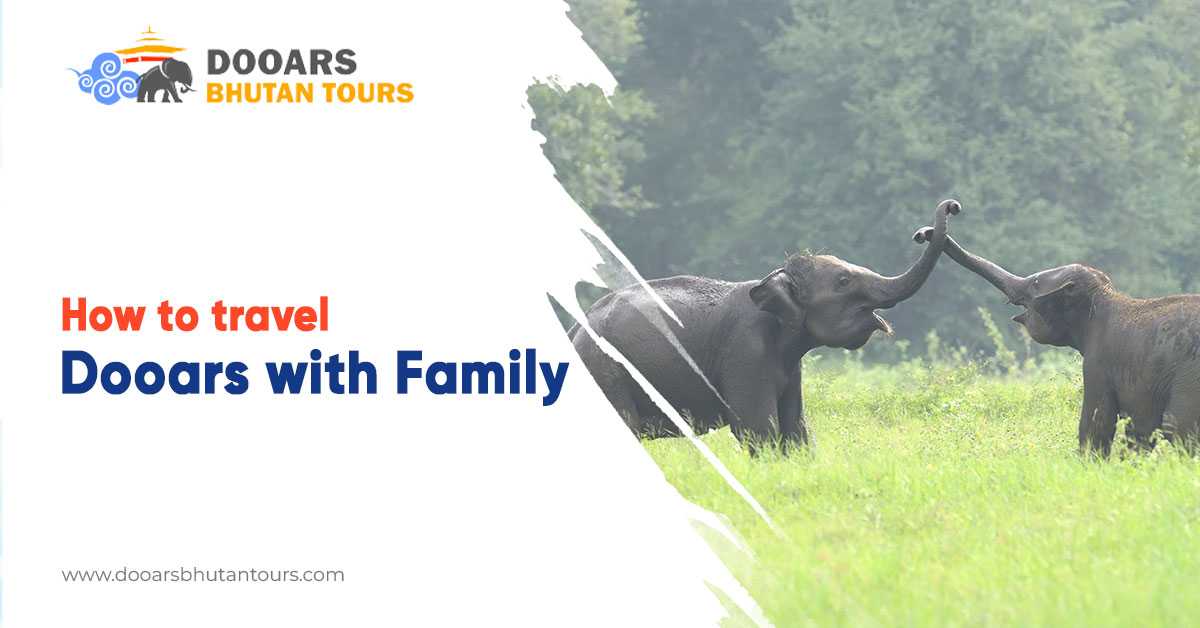 How to travel Dooars with family?
