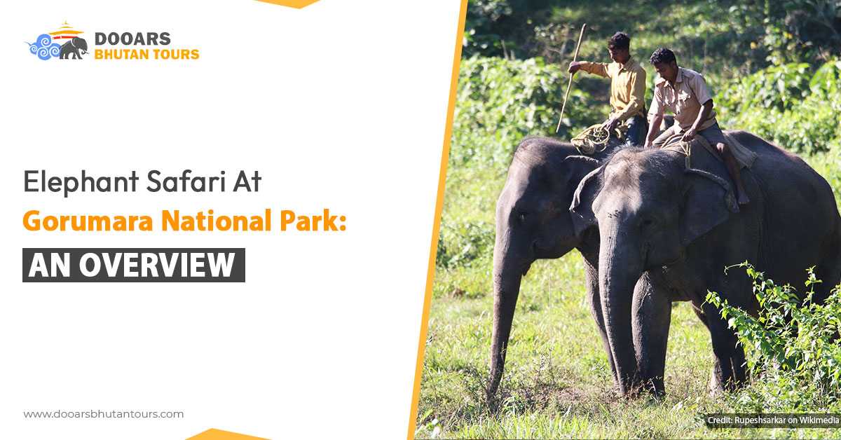 Elephant Safari at Gorumara National Park: An Overview