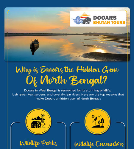 Why is Dooars the Hidden Gem of North Bengal?