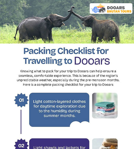 Packing Checklist for Travelling to Dooars