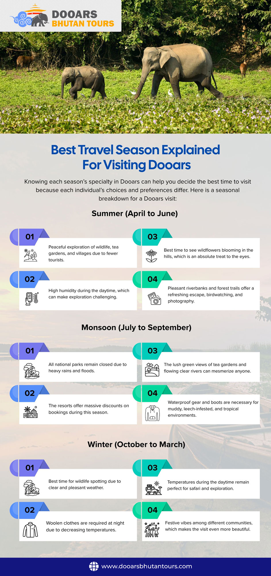 Best Travel Season Explained For Visiting Dooars