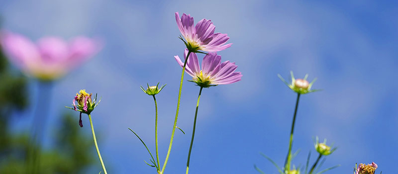 Day-by-Day Bhutan Itineraries